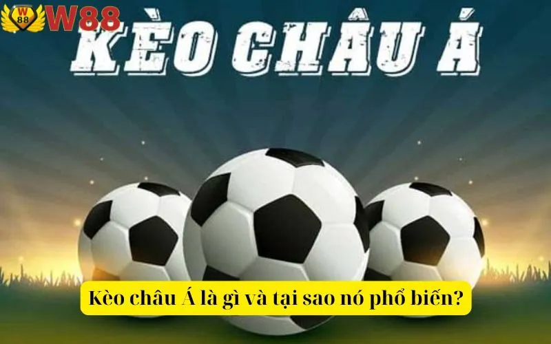 Kèo châu Á là gì và tại sao nó phổ biến