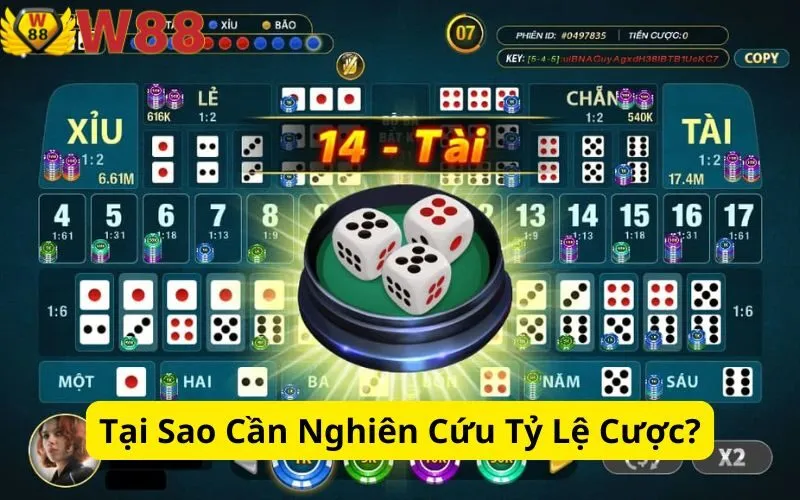 Tại Sao Cần Nghiên Cứu Tỷ Lệ Cược?