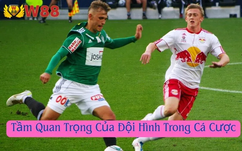 Tầm Quan Trọng Của Đội Hình Trong Cá Cược